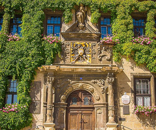Dieses naturschöne Portal der Gotischen Kirche wird umringt mit Efeuranken..