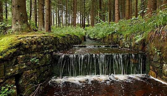 Ein Wasserlauf im Harz entflossen von der Oberharzer Wasserwirtschaft.