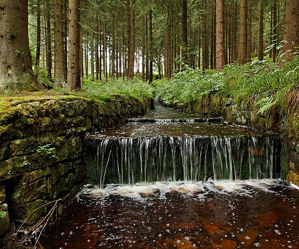 Ein Wasserlauf im Harz entflossen von der Oberharzer Wasserwirtschaft.
