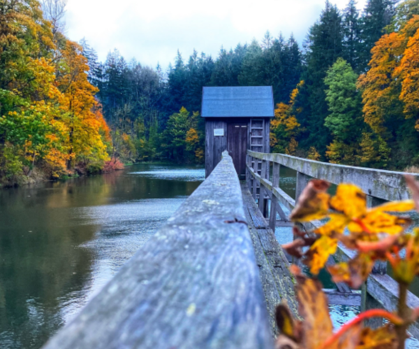 Geschaffene Systeme der Oberharzer Wasserwirtschaft in Form einer Talsperre mit Häuschen in herbstlicher Farbenpracht.