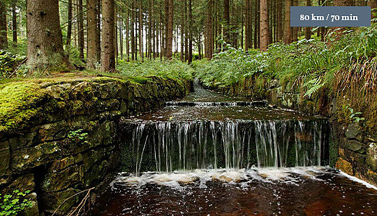 Ein Wasserlauf im Harz entflossen von der Oberharzer Wasserwirtschaft.