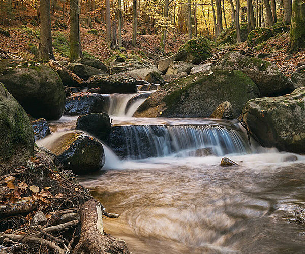Ruhige Waldlandschaft mit einem Bach, der sanft über Felsen fließt, im Hintergrund Bäume des Harzes