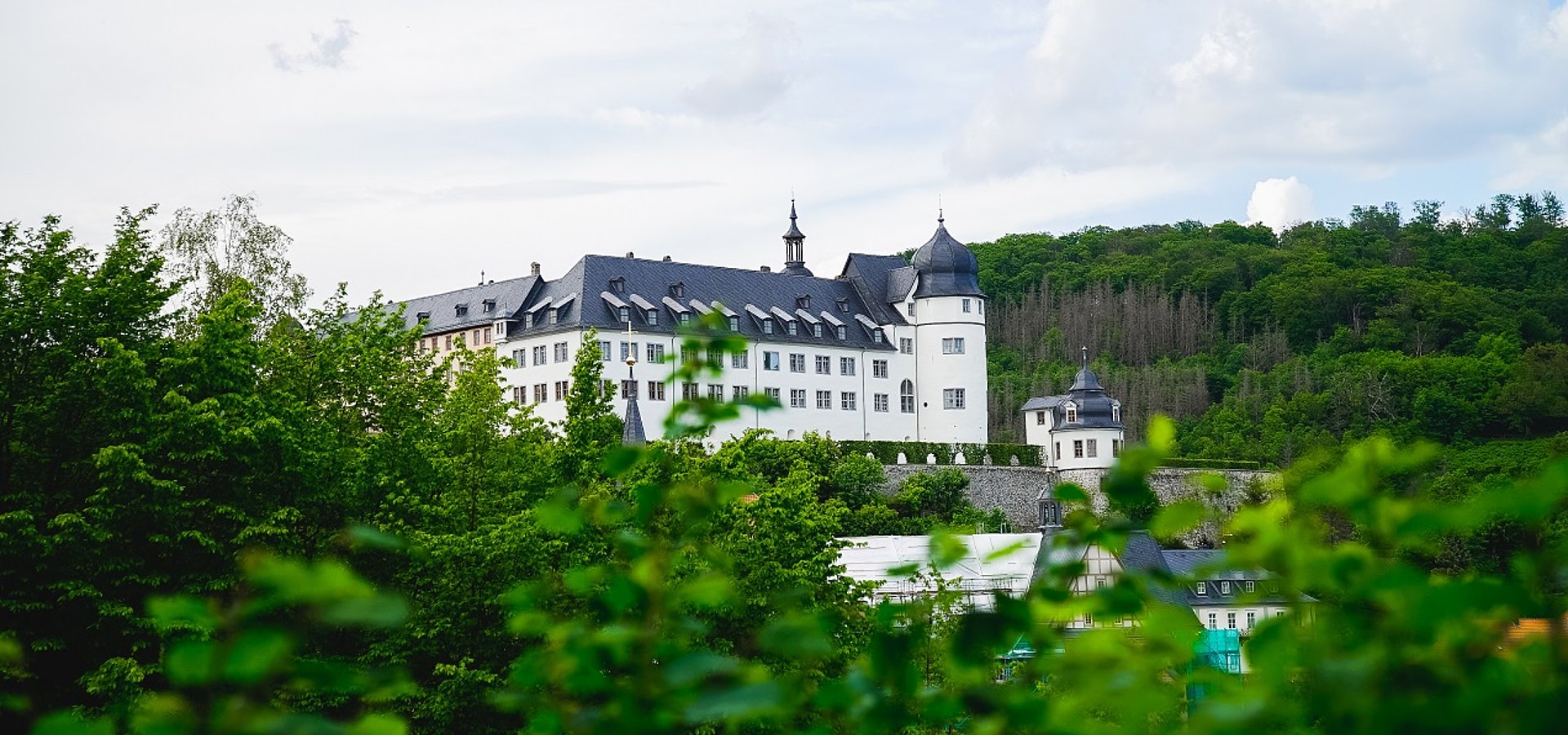 Das Stolberger Schloss in Weiß von der Ferne aufgenommen in grüner Natur.