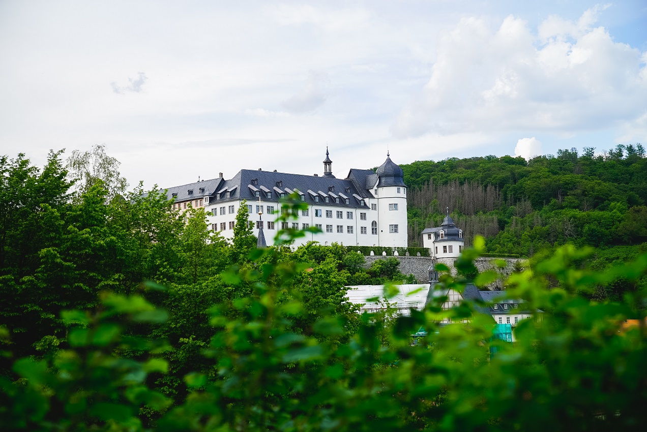 Das Stolberger Schloss in Weiß von der Ferne aufgenommen in grüner Natur.